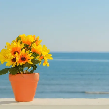 Sea View Apartman *