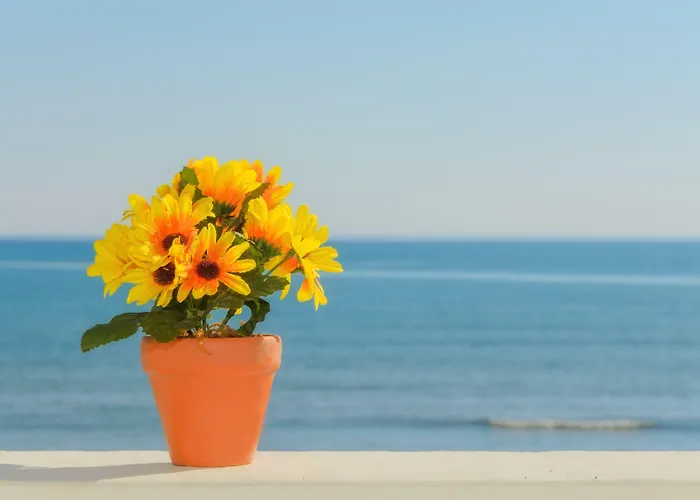 Sea View Апартаменты *