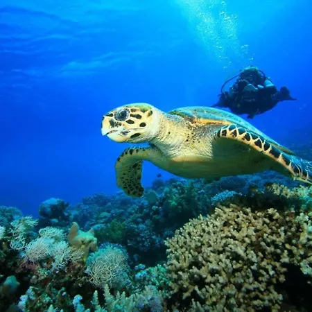 Apartament Sea View Laganas